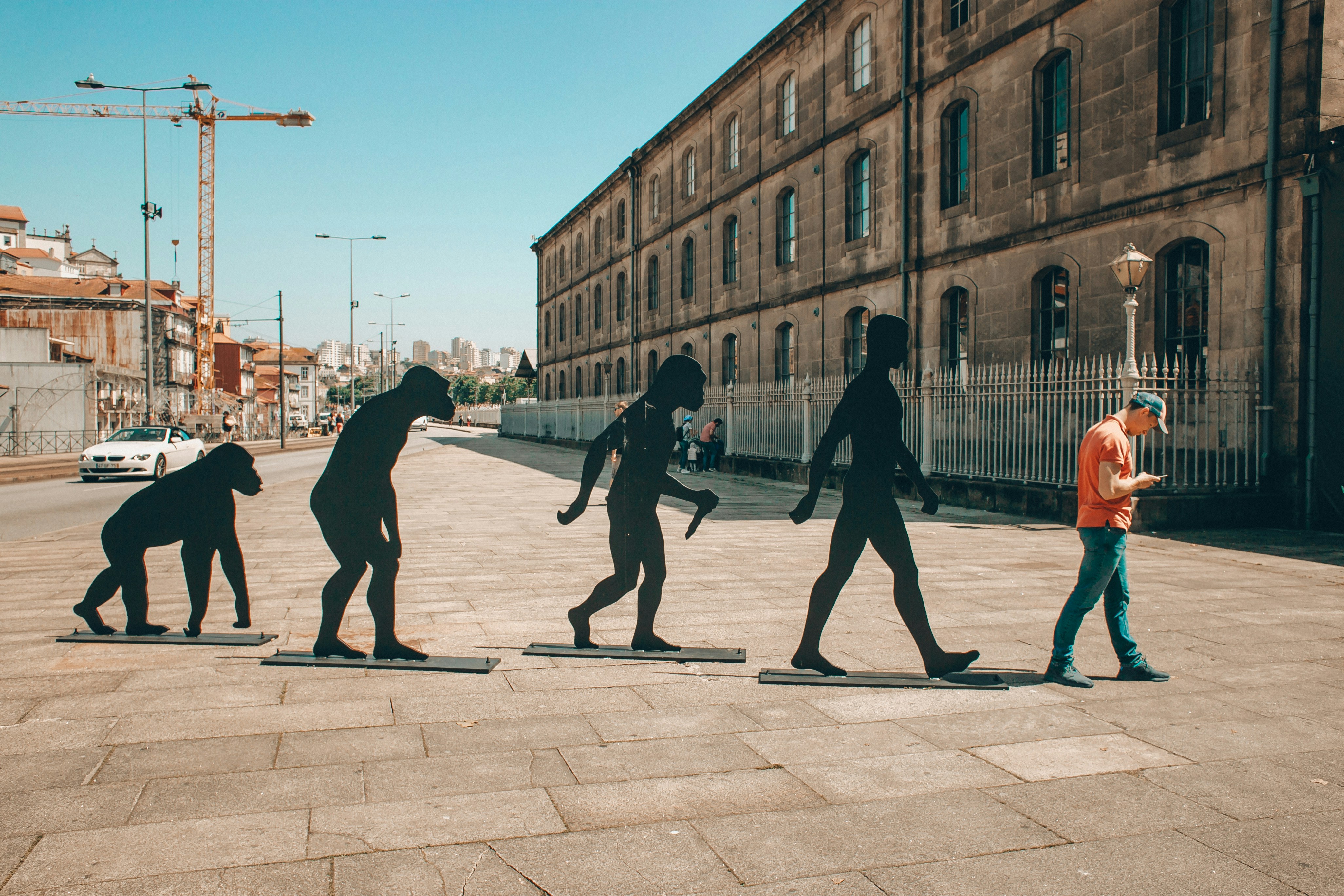 Evolutie (oer)