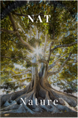 Nat - Nature as therapy