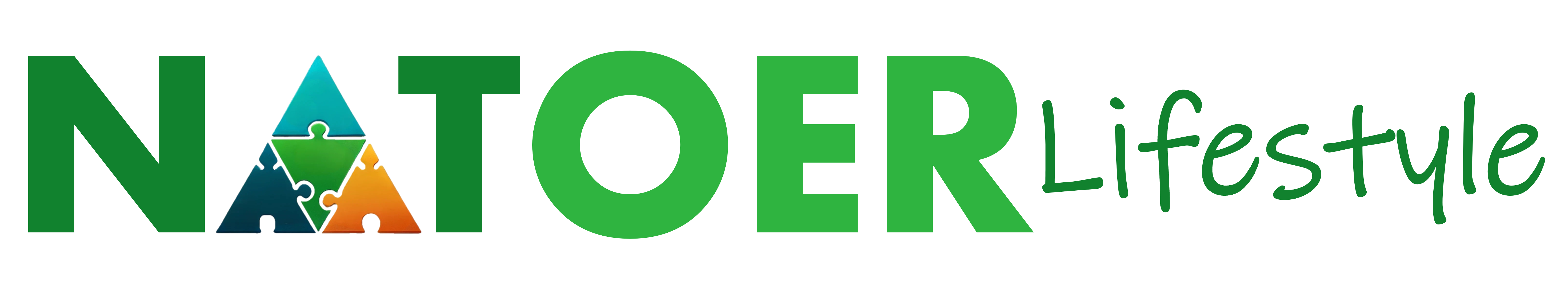 Wessel Adriaens Logo