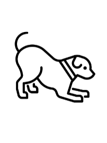 Honden workshop